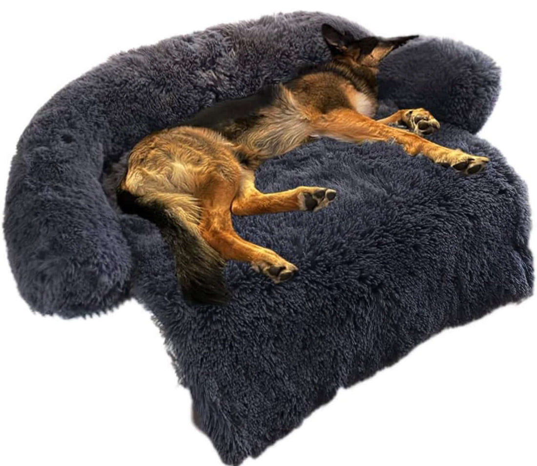 Large dark grey plush dog bed featuring a sleeping dog, designed for comfort and support with cozy curved edges.